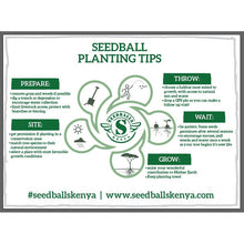 Load image into Gallery viewer, Seedballs