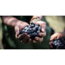 Load image into Gallery viewer, Seedballs