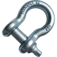 Load image into Gallery viewer, Recovery Bow Shackles