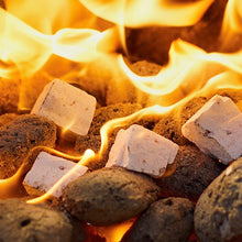 Load image into Gallery viewer, Lion Firelighters